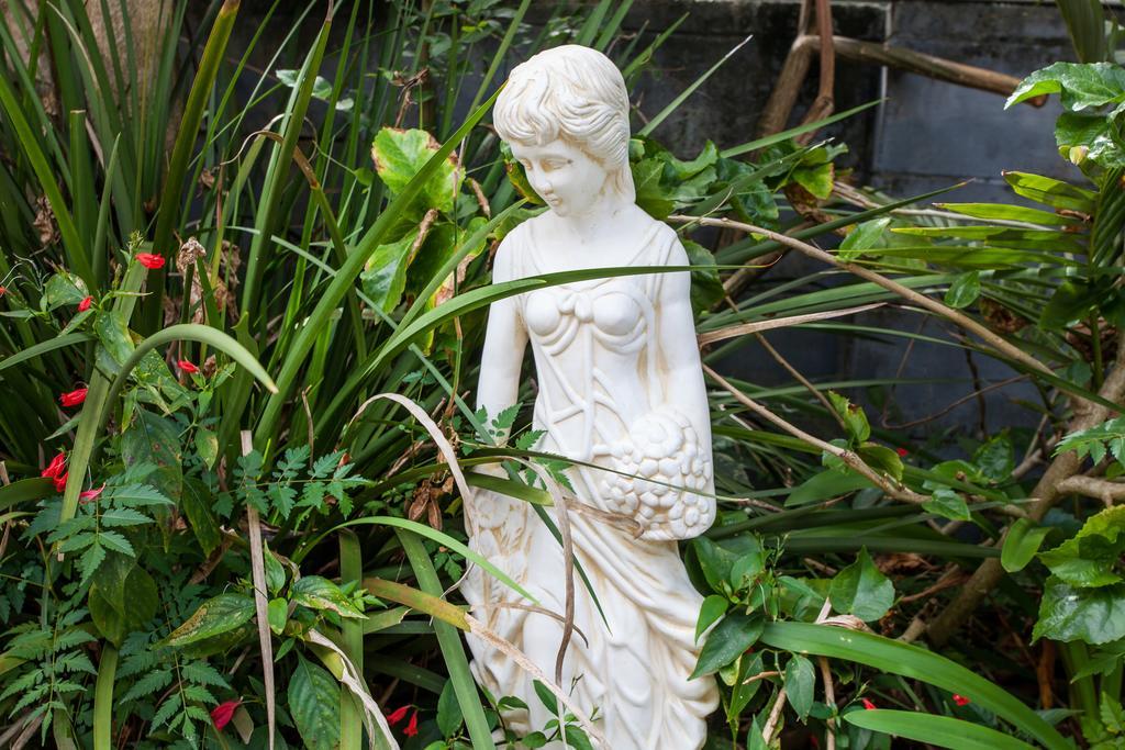 Elindale House Bed&Breakfast Lismore Esterno foto